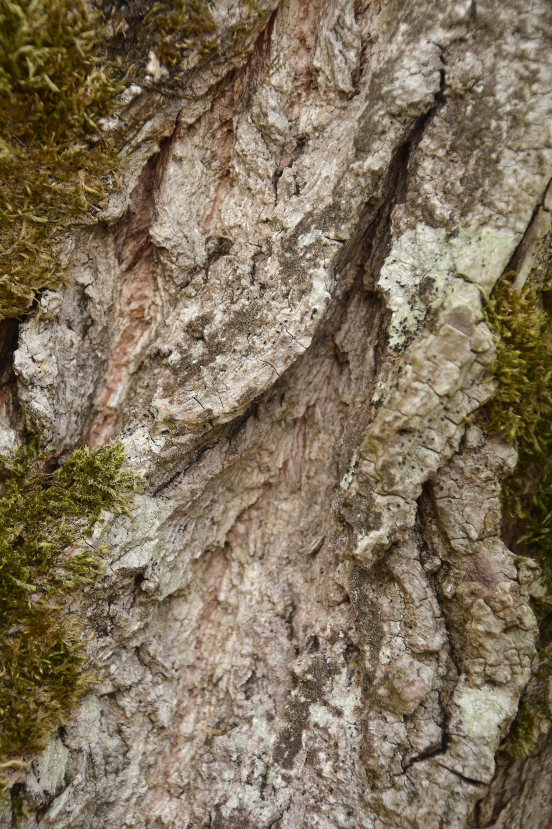 Architectuurfotografie